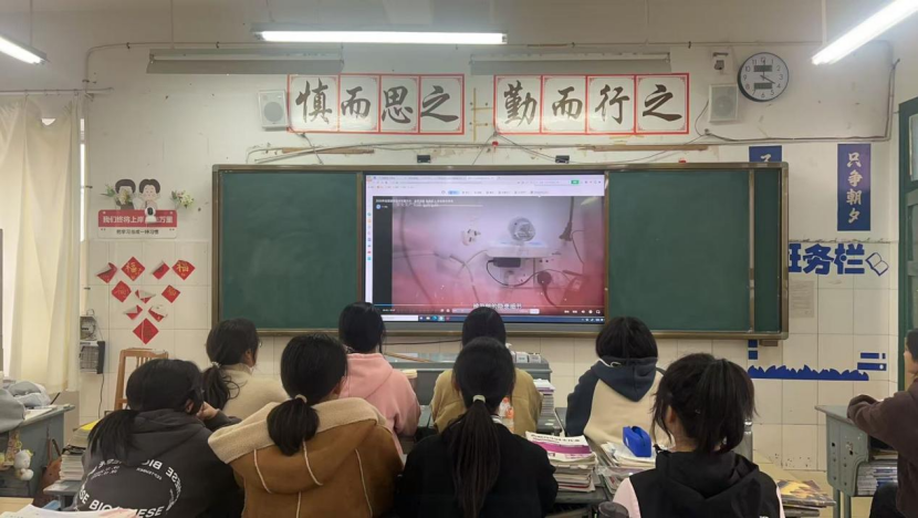 uploads/1112/176291793012842305.png image.png